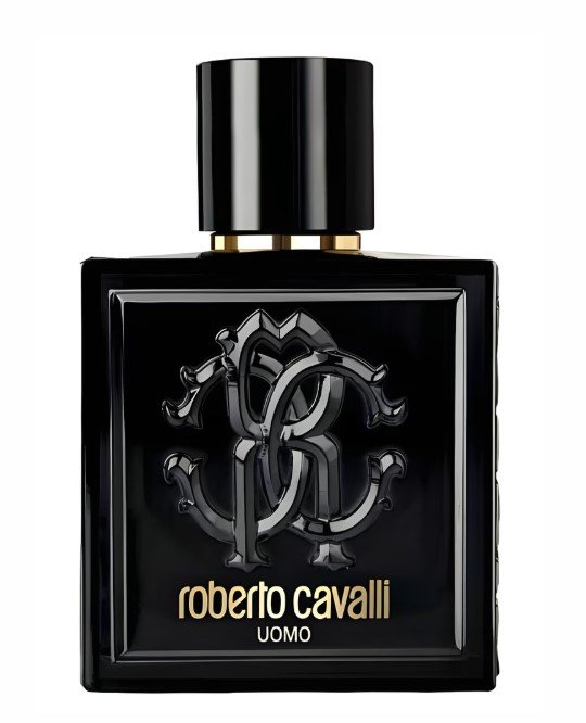 ROBERTO CAVALLI UOMO